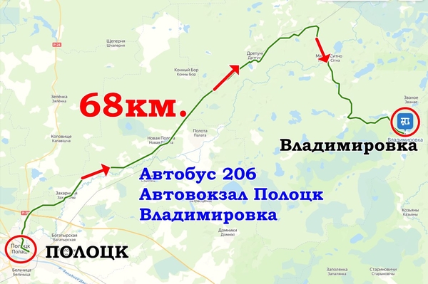 Продам Фермерское хозяйство в витебской области 8