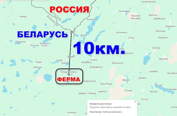 Продам Фермерское хозяйство в витебской области 10