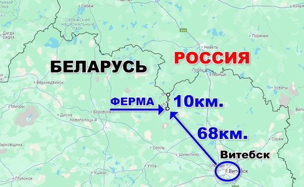 Продам Фермерское хозяйство в витебской области 6